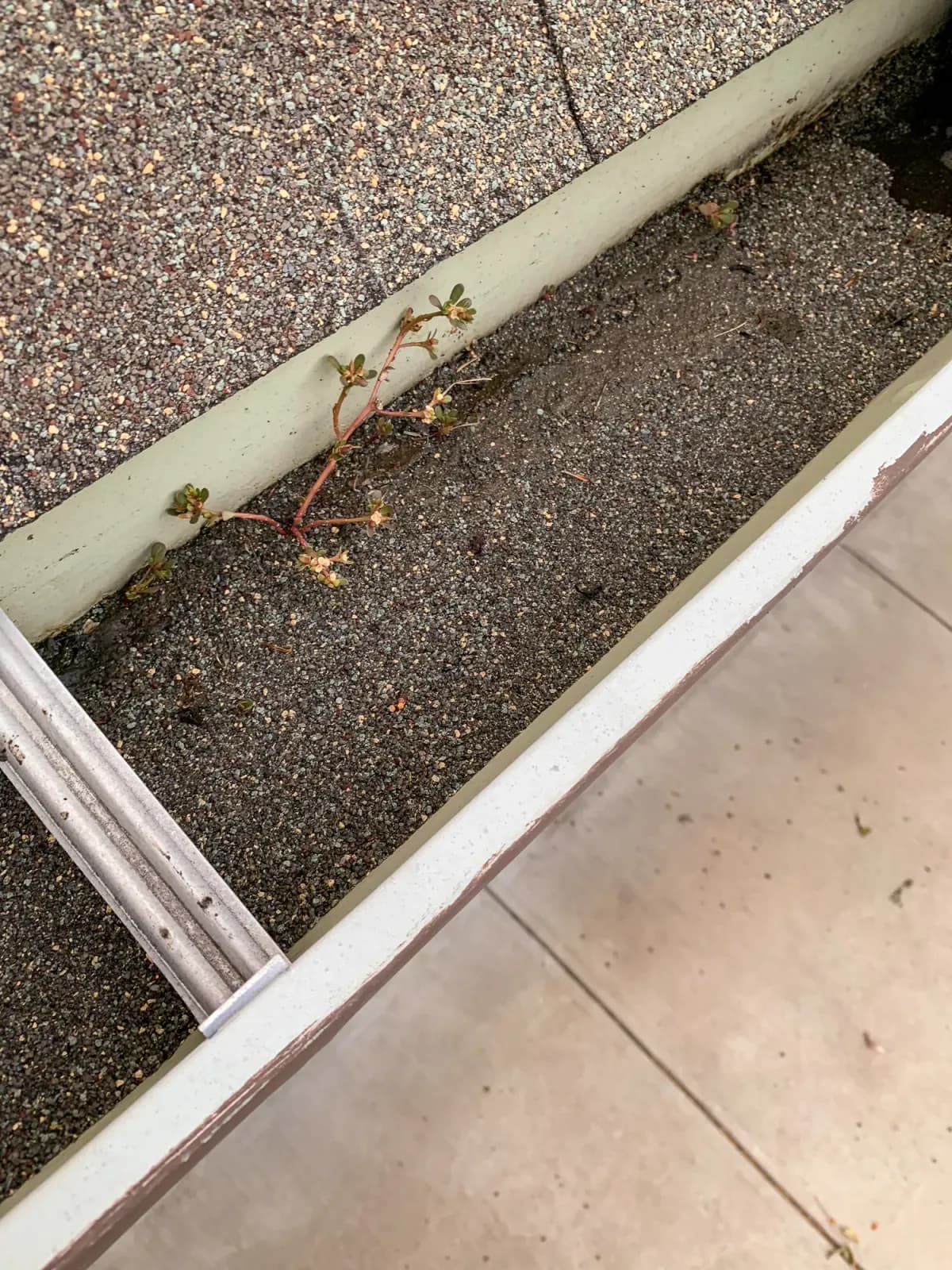 Thick dark shingle gravel buildup