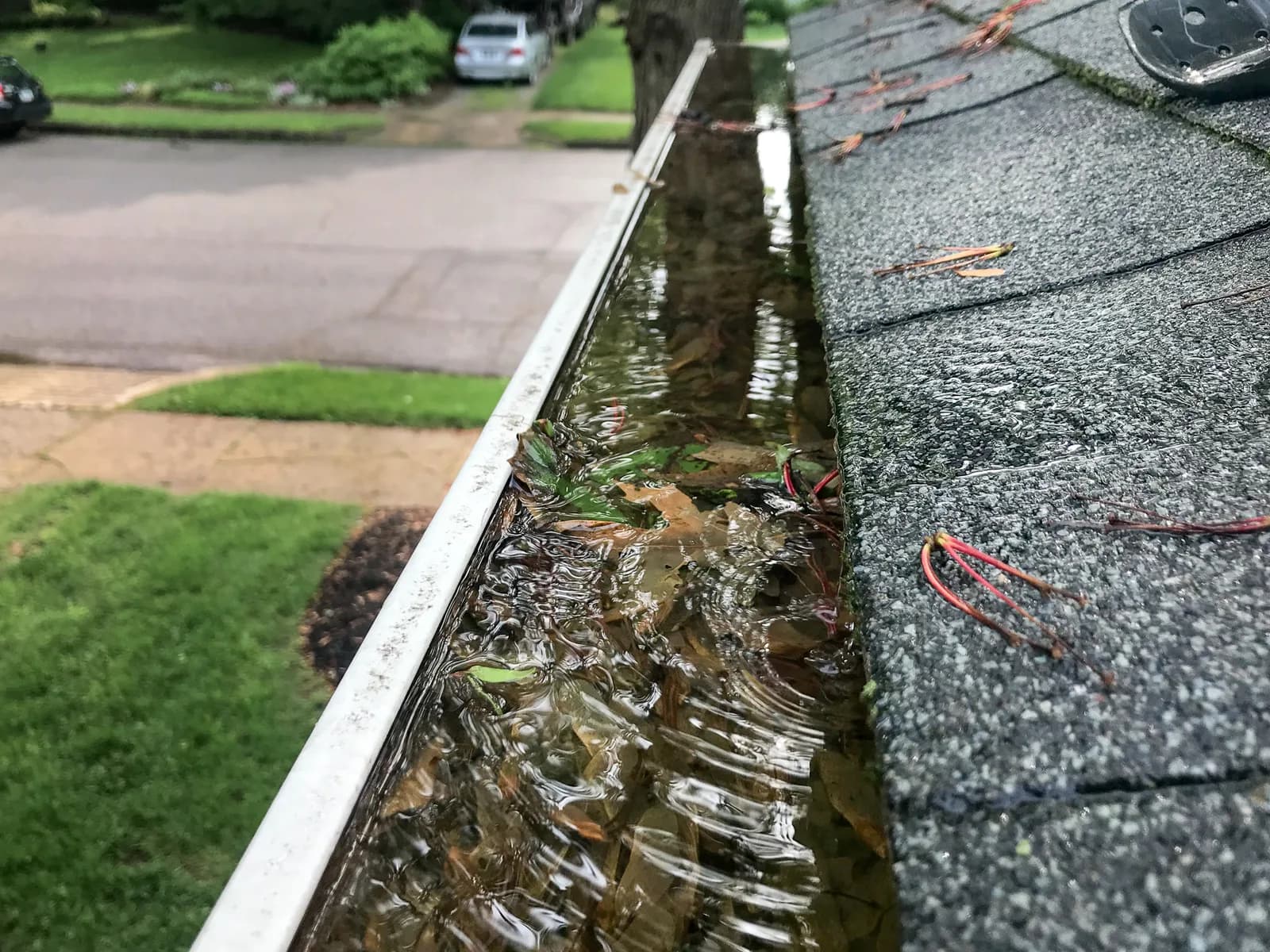 Gutter packed solid with leaves and decomposed debris