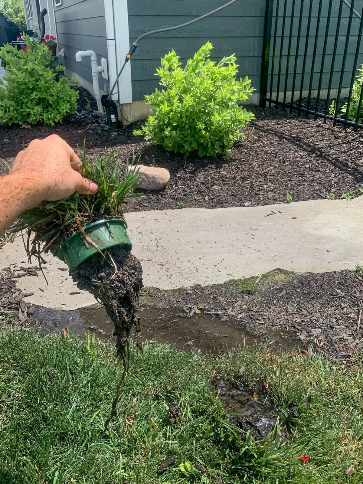 Clogged downspout cap lost under grass